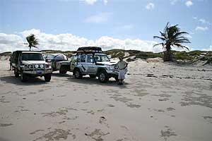 Cape York Peninsula 4WD Safari Tours